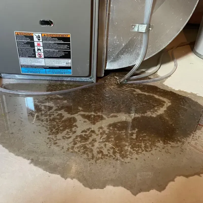 Appliance Leak Cleanup in Kingsbury, NV